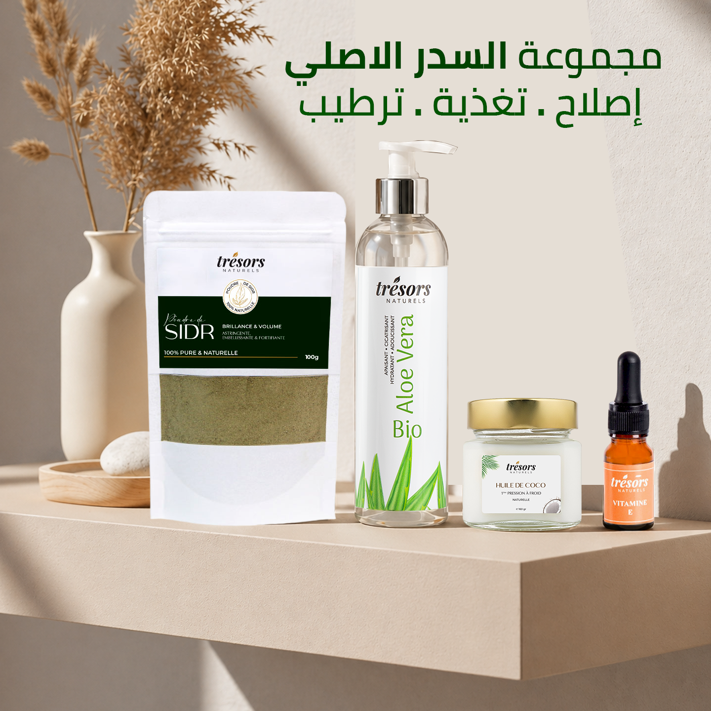 Routine experte : Sidr, Aloe Vera, Coco & Vitamine E